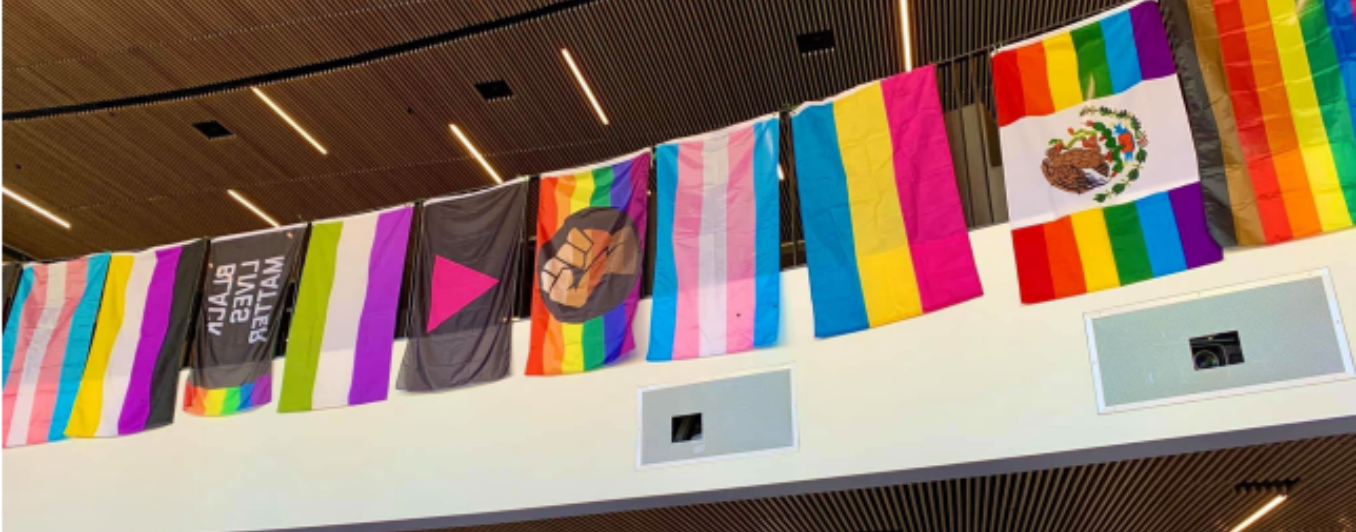 LGBTQ flags